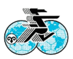 1991 Women's World Cup